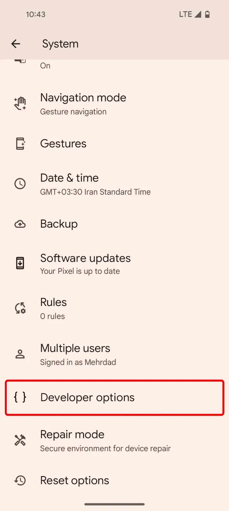 روی Developer options ضربه بزنید.