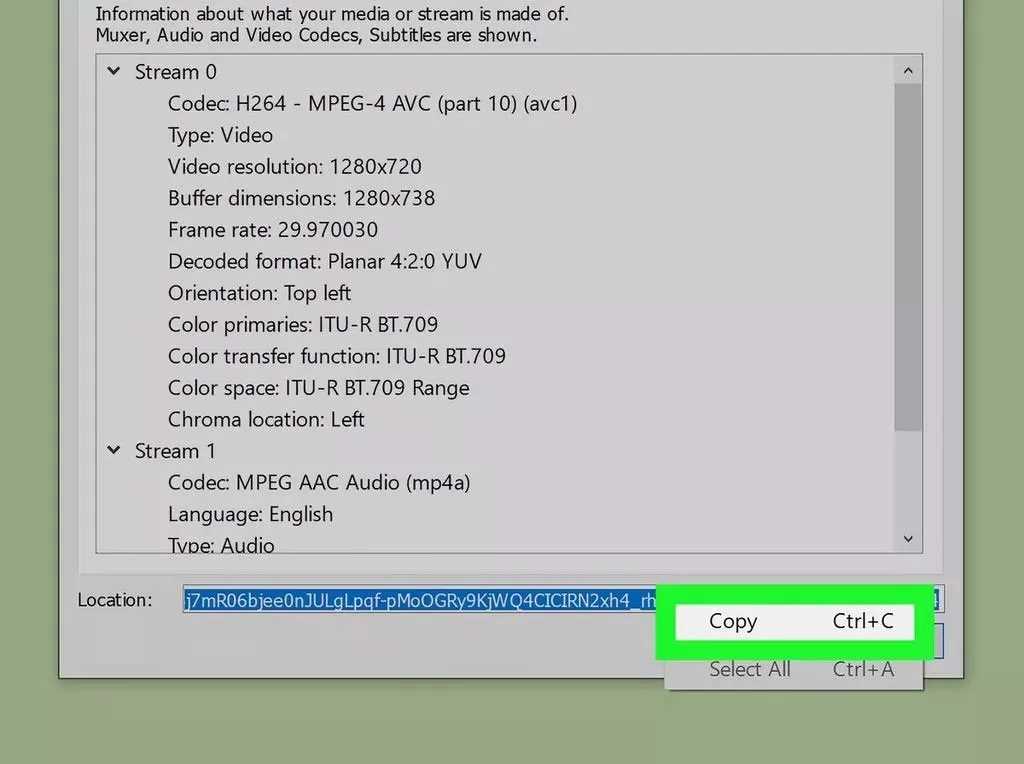 آیا میدانید چگونه ویدیوهای یوتیوب را در کامپیوتر دانلود کنیم؟